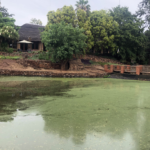 8%20Michelle Laubcher-Jäger